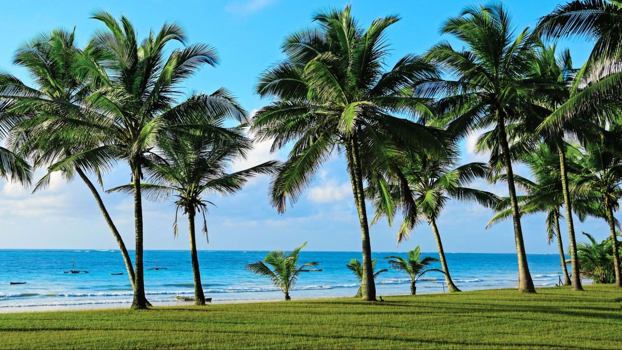 Diani beach
