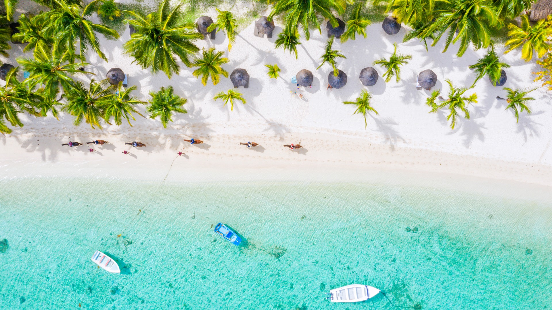 https://unsplash.com/@kensuarez