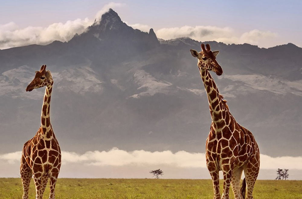 Mt Kenya